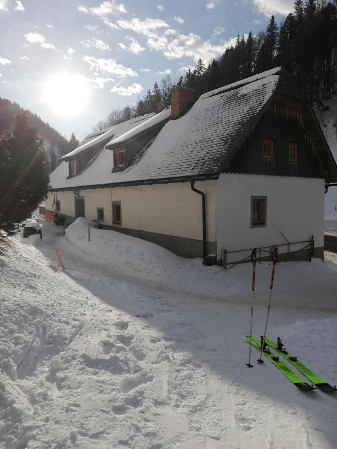 نزل Rosenau am Hengstpassفي Zickerreith Almhutte المظهر الخارجي الصورة